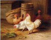 unknow artist Cock 187 oil painting on canvas
